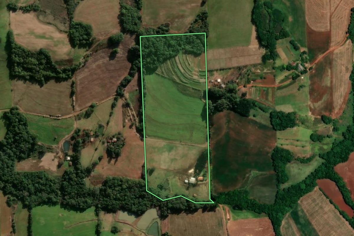 Imagem de satélite do imóvel rural em Alegria (RS), com o contorno declarado no CAR desenhado por cima.