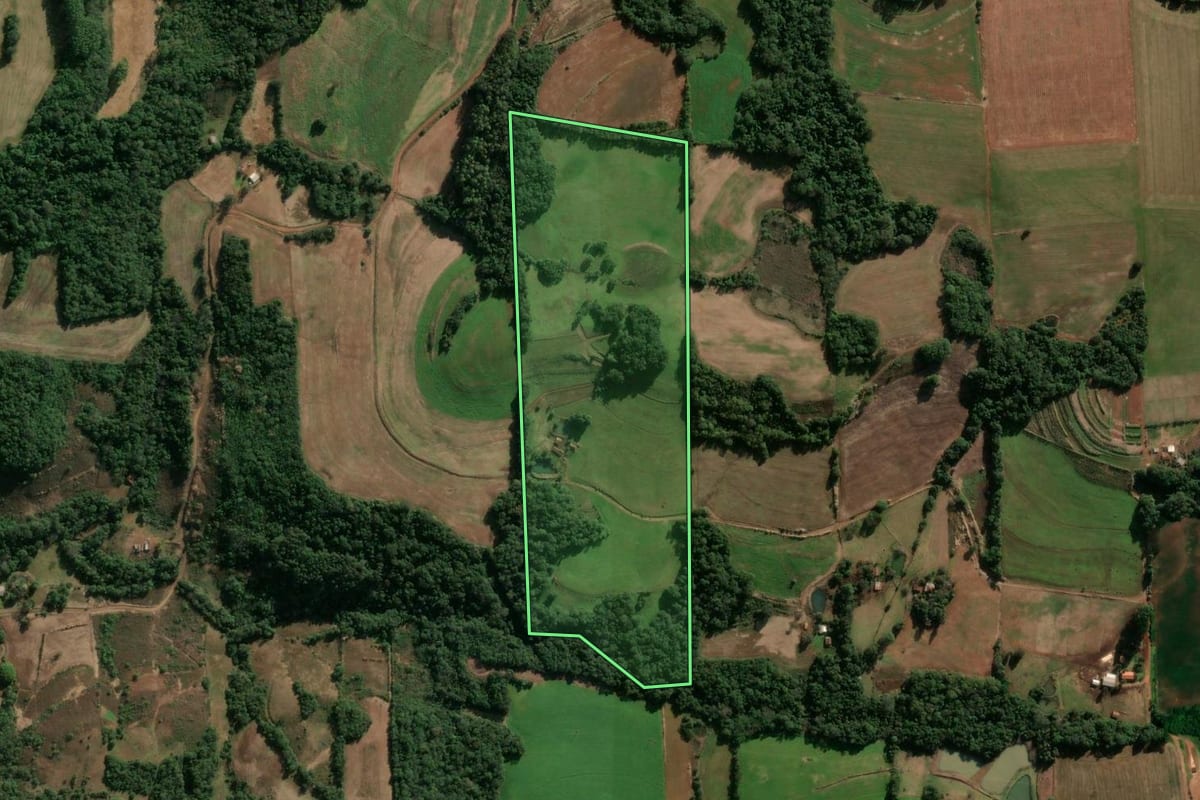 Imagem de satélite do imóvel rural em Alegria (RS), com o contorno declarado no CAR desenhado por cima.
