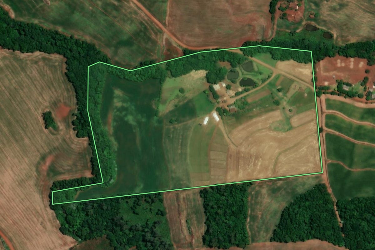 Imagem de satélite do imóvel rural em Alegria (RS), com o contorno declarado no CAR desenhado por cima.