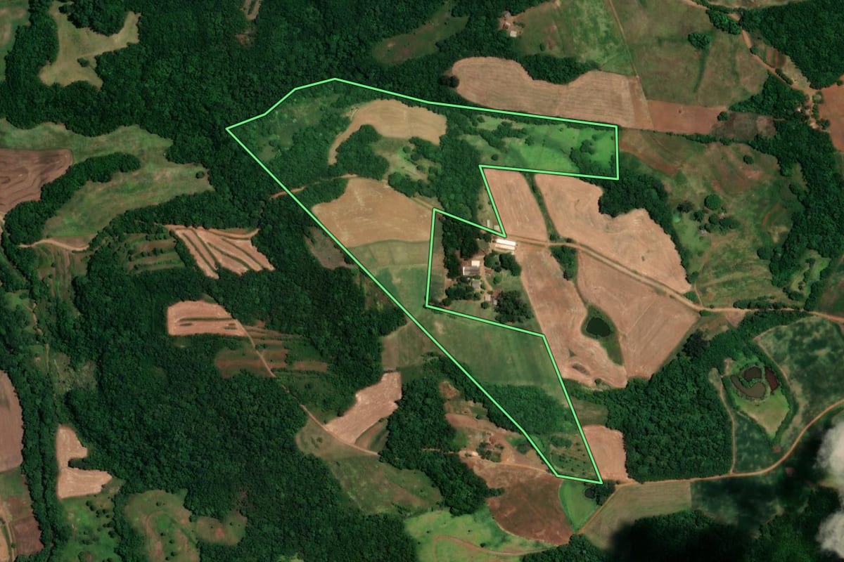 Imagem de satélite do imóvel rural em Alegria (RS), com o contorno declarado no CAR desenhado por cima.