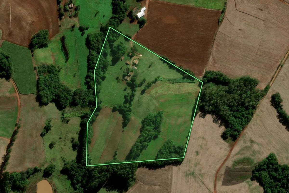 Imagem de satélite do imóvel rural em Alegria (RS), com o contorno declarado no CAR desenhado por cima.