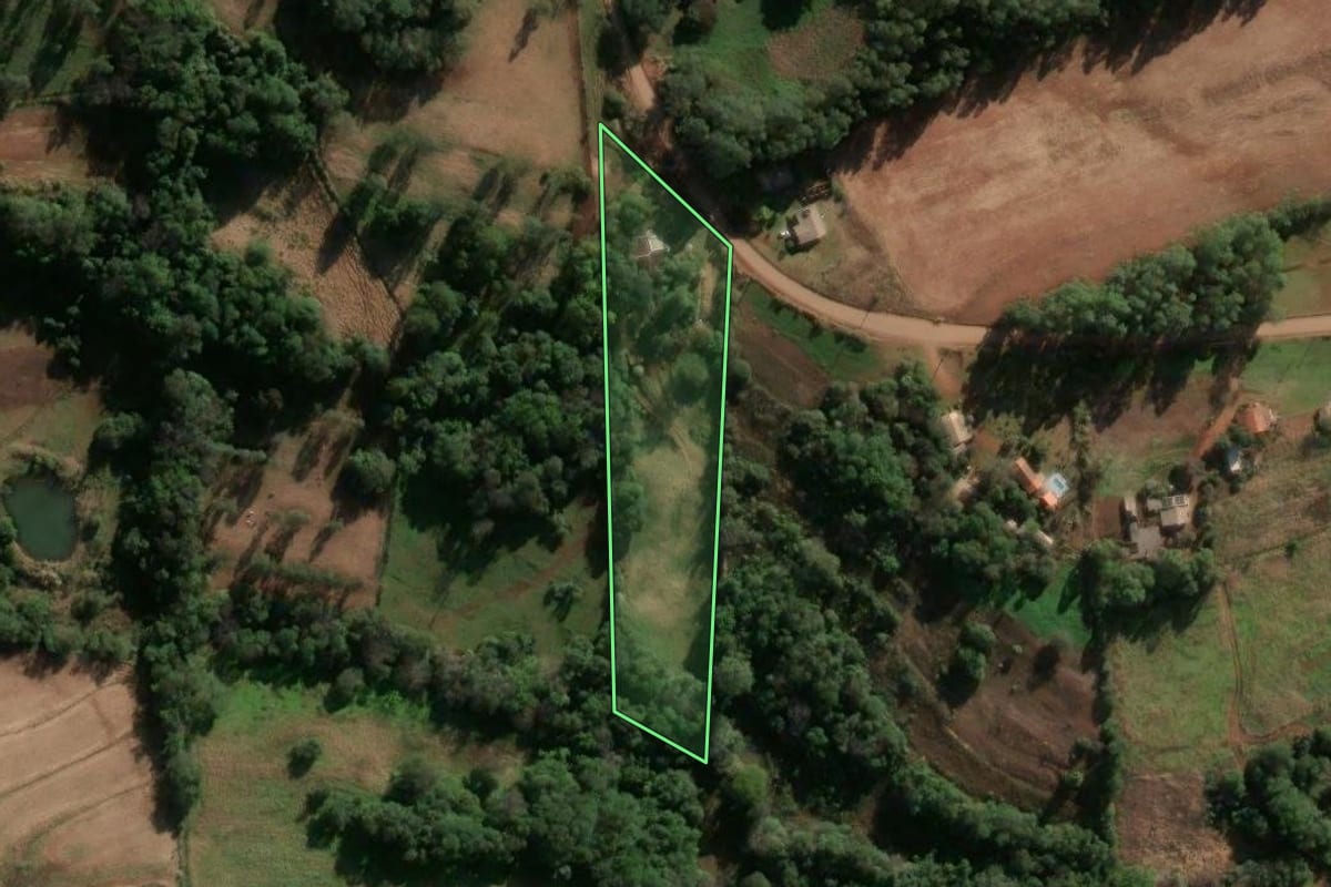 Imagem de satélite do imóvel rural em Alegria (RS), com o contorno declarado no CAR desenhado por cima.
