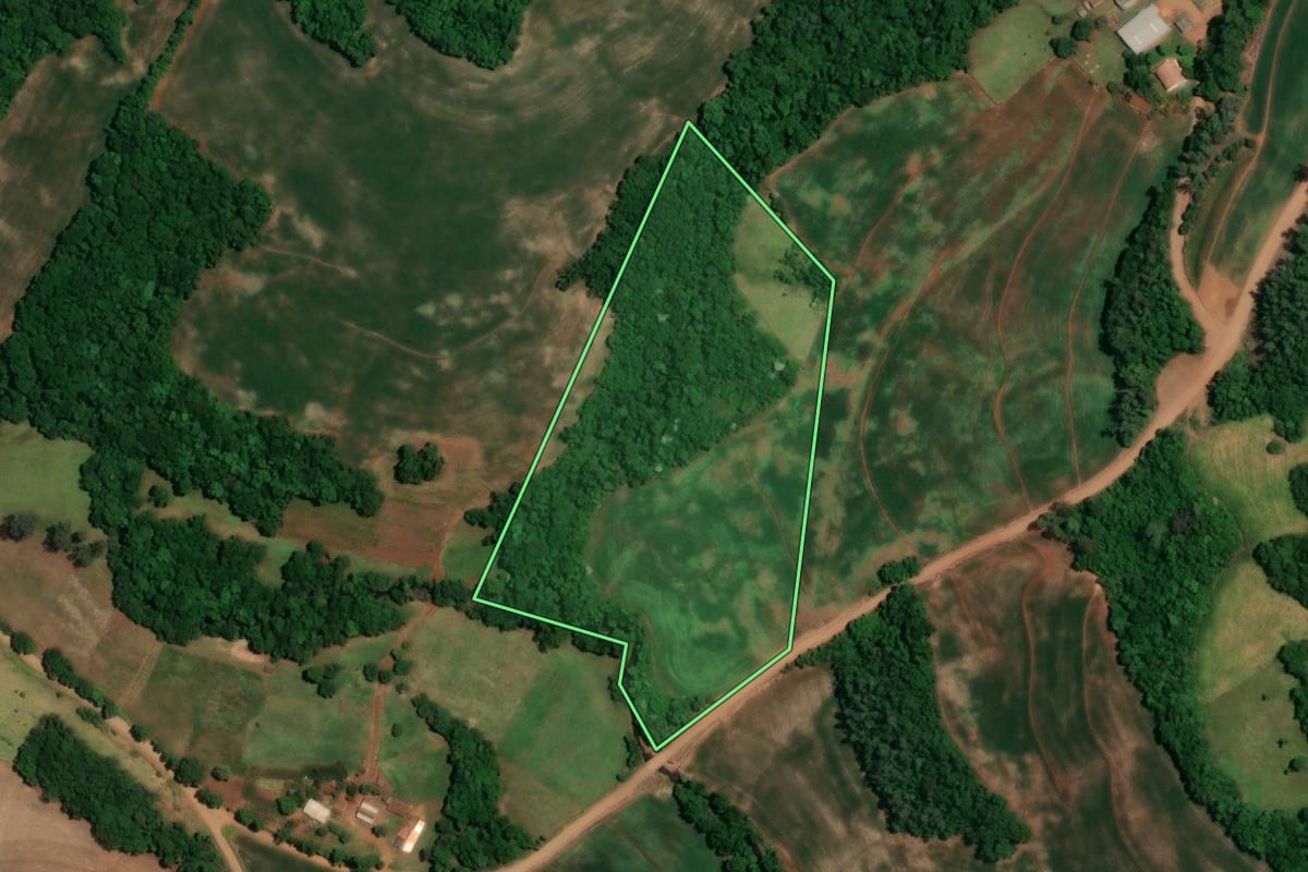 Imagem de satélite do imóvel rural em Alegria (RS), com o contorno declarado no CAR desenhado por cima.