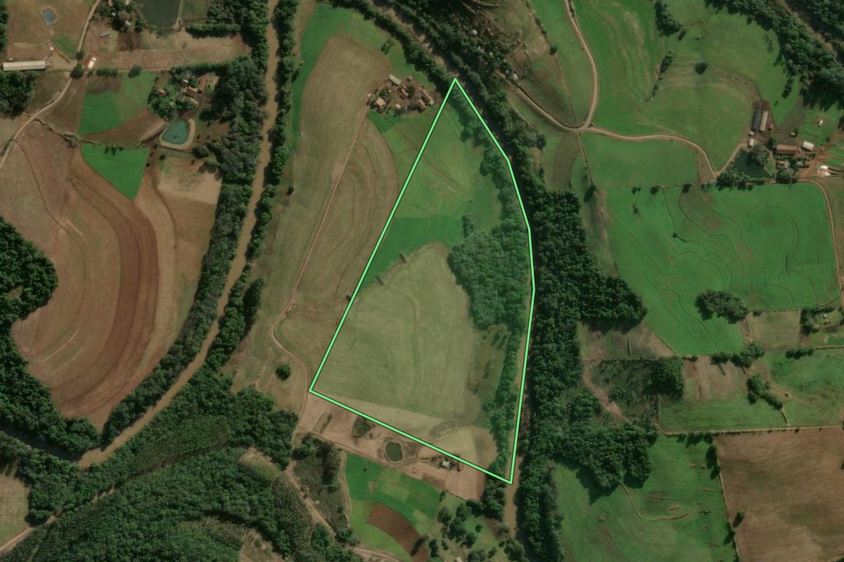 Imagem de satélite do imóvel rural em Alegria (RS), com o contorno declarado no CAR desenhado por cima.