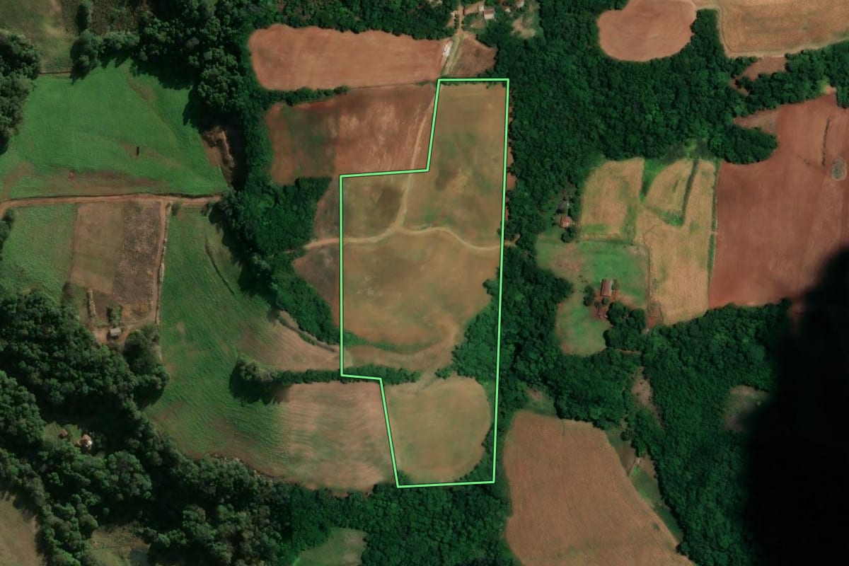 Imagem de satélite do imóvel rural em Alegria (RS), com o contorno declarado no CAR desenhado por cima.