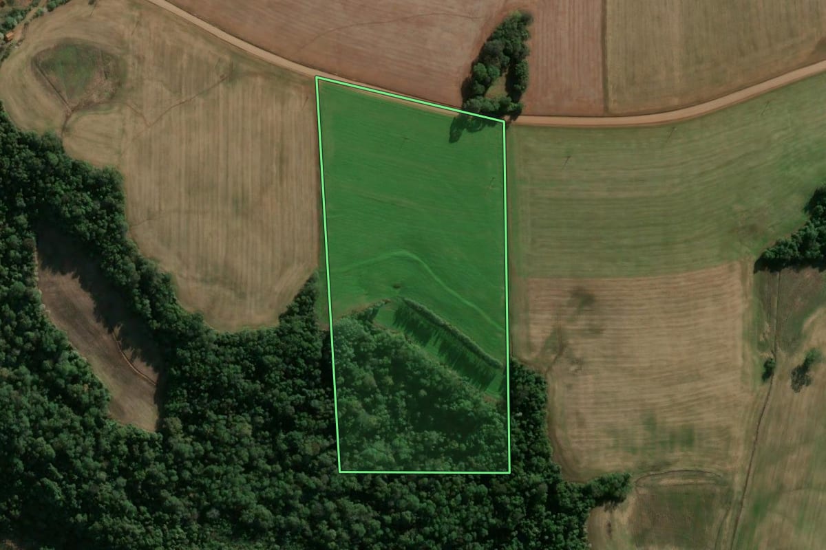 Imagem de satélite do imóvel rural em Alegria (RS), com o contorno declarado no CAR desenhado por cima.