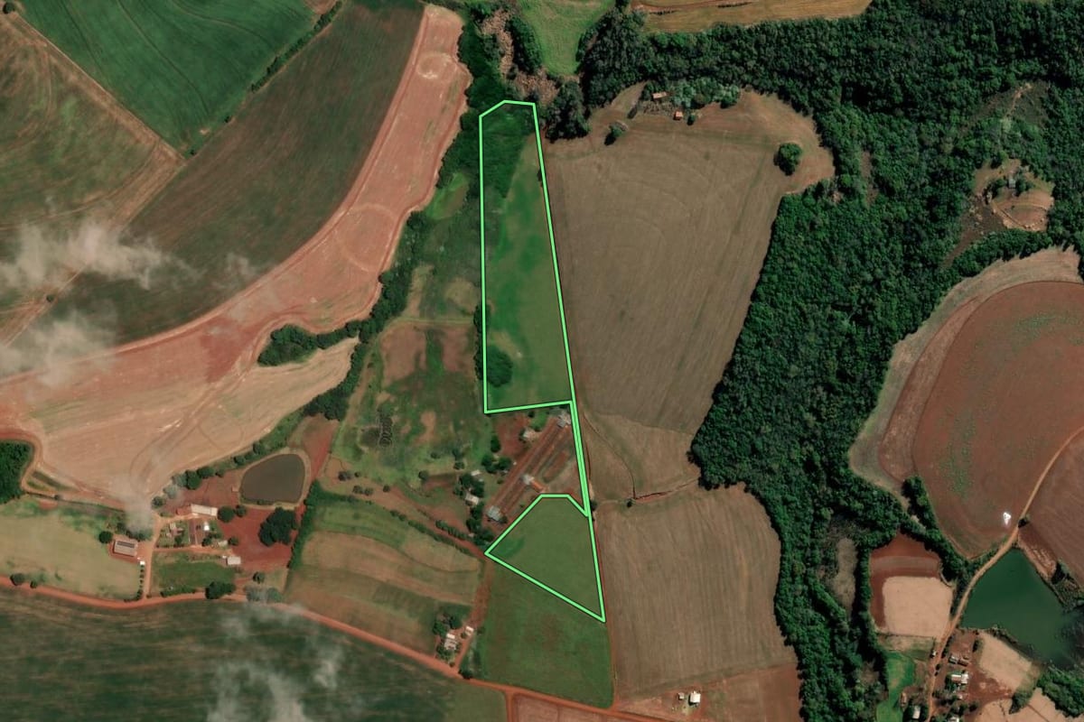 Imagem de satélite do imóvel rural em Alegria (RS), com o contorno declarado no CAR desenhado por cima.