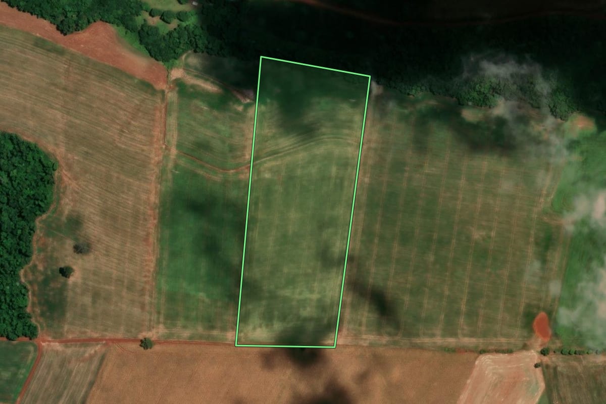 Imagem de satélite do imóvel rural em Alegria (RS), com o contorno declarado no CAR desenhado por cima.