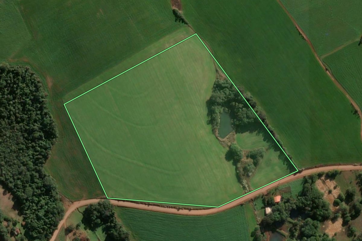 Imagem de satélite do imóvel rural em Alegria (RS), com o contorno declarado no CAR desenhado por cima.