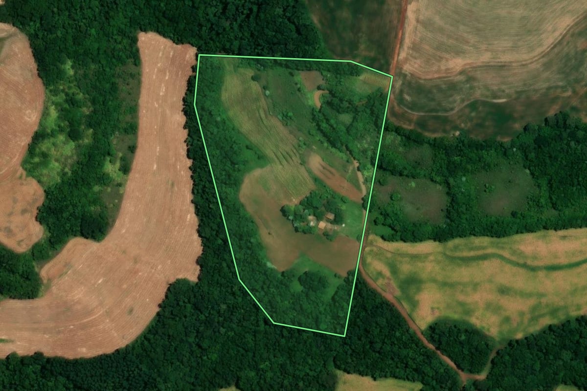 Imagem de satélite do imóvel rural em Alegria (RS), com o contorno declarado no CAR desenhado por cima.