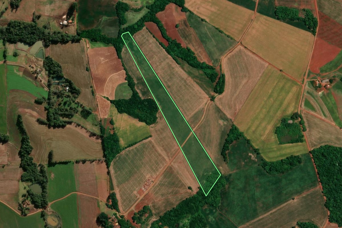 Imagem de satélite do imóvel rural em Alegria (RS), com o contorno declarado no CAR desenhado por cima.