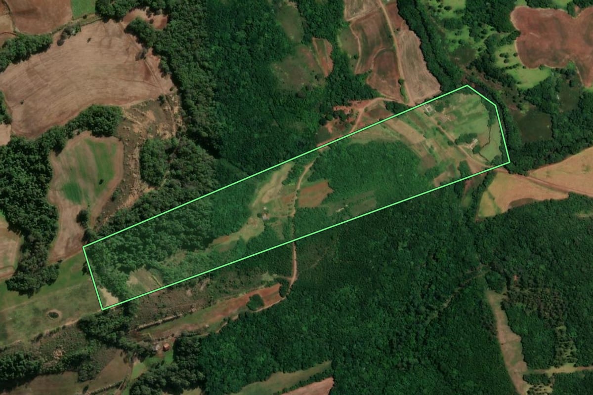 Imagem de satélite do imóvel rural em Alegria (RS), com o contorno declarado no CAR desenhado por cima.