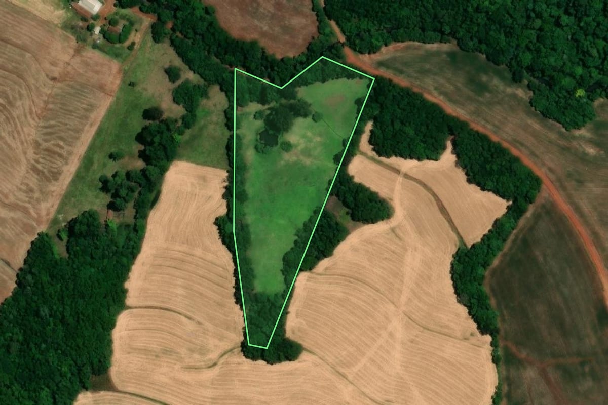 Imagem de satélite do imóvel rural em Alegria (RS), com o contorno declarado no CAR desenhado por cima.