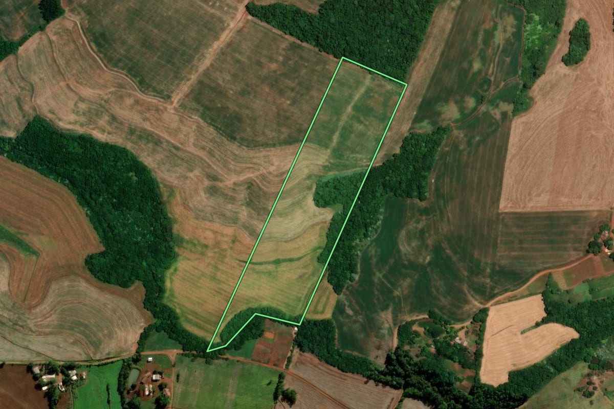 Imagem de satélite do imóvel rural em Alegria (RS), com o contorno declarado no CAR desenhado por cima.