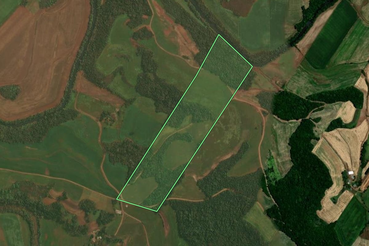 Imagem de satélite do imóvel rural em Almirante Tamandaré do Sul (RS), com o contorno declarado no CAR desenhado por cima.