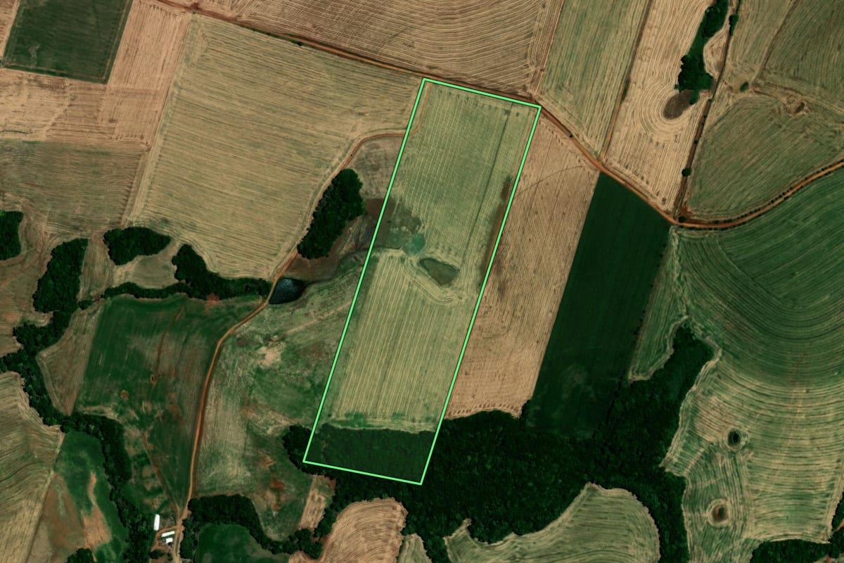 Imagem de satélite do imóvel rural em Almirante Tamandaré do Sul (RS), com o contorno declarado no CAR desenhado por cima.