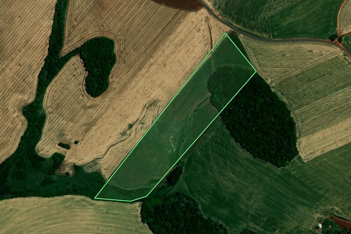 Imagem de satélite do imóvel rural em Almirante Tamandaré do Sul (RS), com o contorno declarado no CAR desenhado por cima.