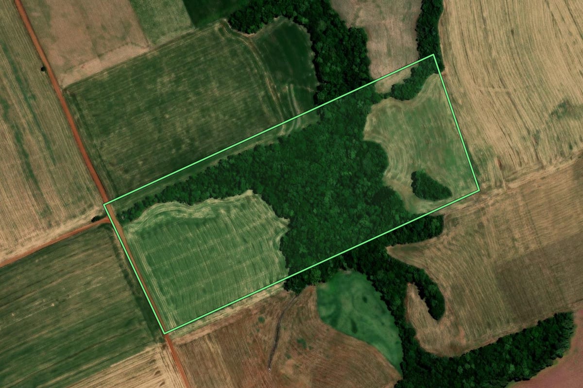 Imagem de satélite do imóvel rural em Almirante Tamandaré do Sul (RS), com o contorno declarado no CAR desenhado por cima.