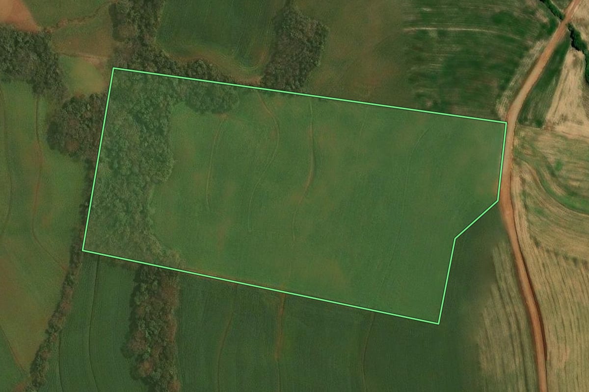Imagem de satélite do imóvel rural em Almirante Tamandaré do Sul (RS), com o contorno declarado no CAR desenhado por cima.