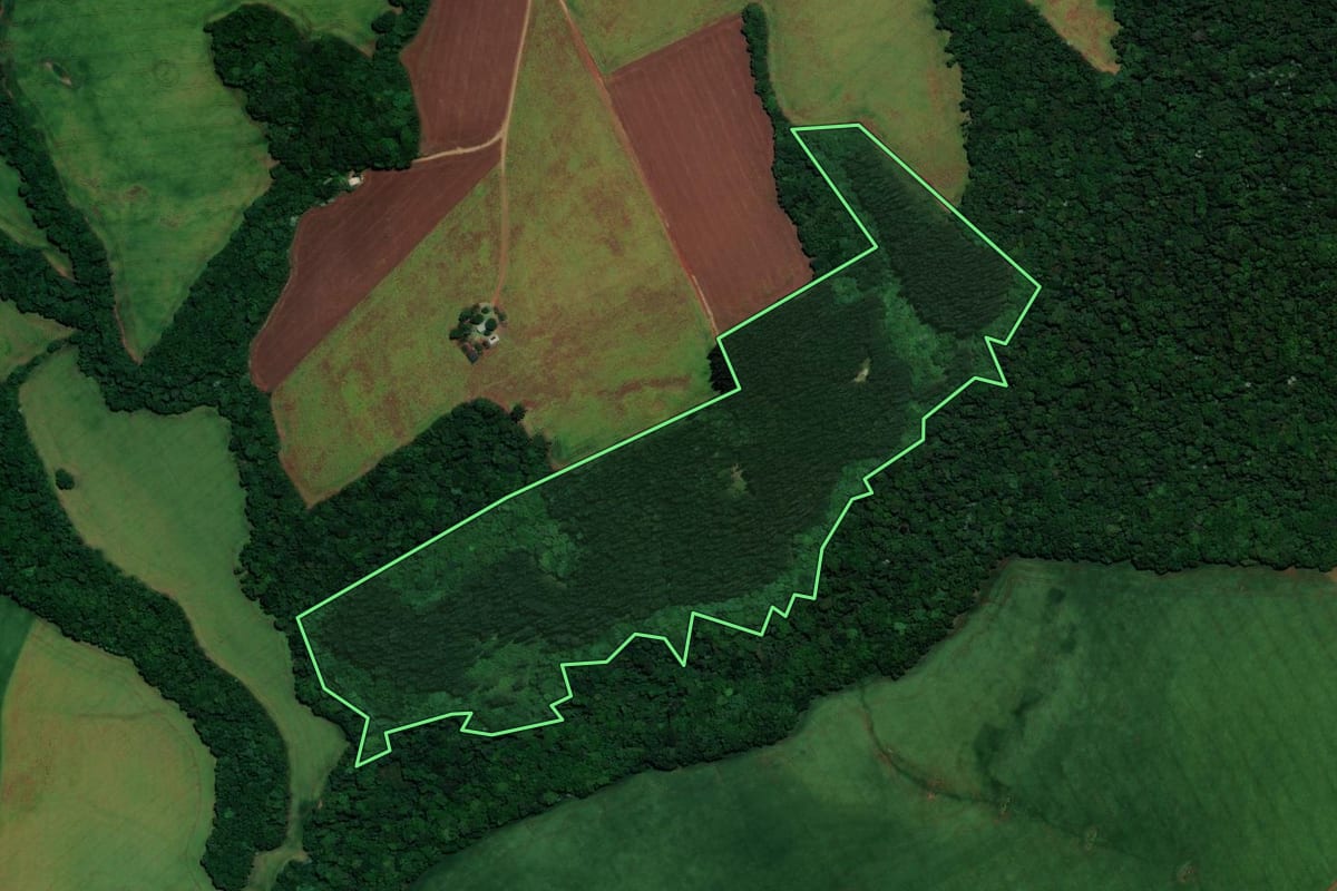 Imagem de satélite do imóvel rural em Almirante Tamandaré do Sul (RS), com o contorno declarado no CAR desenhado por cima.