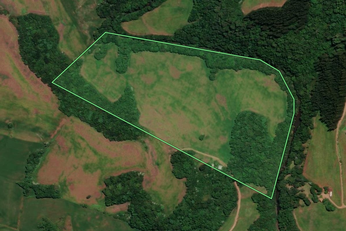 Imagem de satélite do imóvel rural em Almirante Tamandaré do Sul (RS), com o contorno declarado no CAR desenhado por cima.