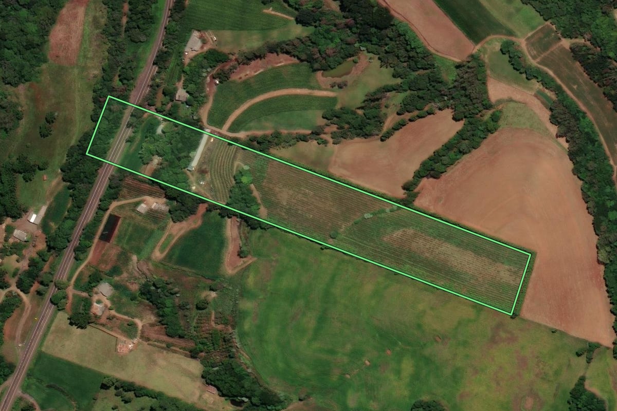 Imagem de satélite do imóvel rural em Almirante Tamandaré do Sul (RS), com o contorno declarado no CAR desenhado por cima.