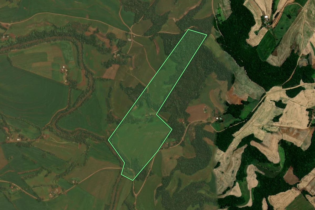Imagem de satélite do imóvel rural em Almirante Tamandaré do Sul (RS), com o contorno declarado no CAR desenhado por cima.