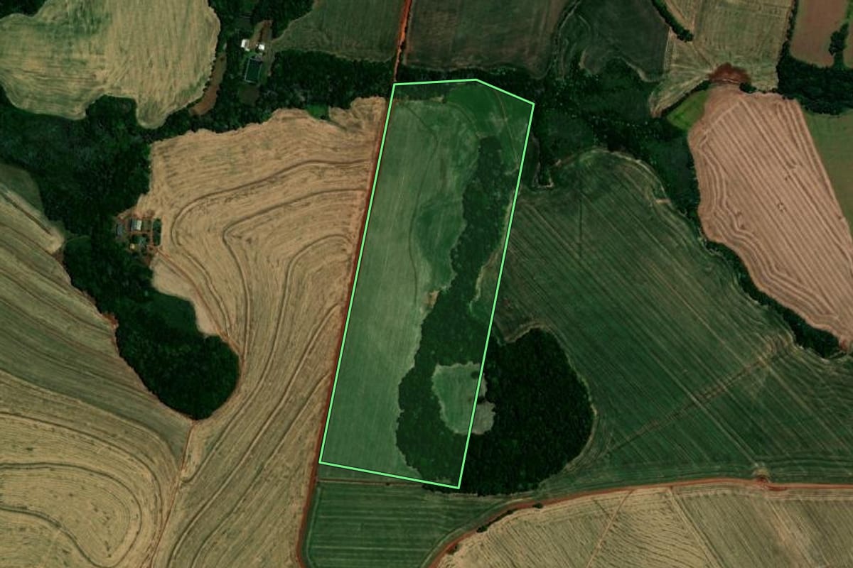 Imagem de satélite do imóvel rural em Almirante Tamandaré do Sul (RS), com o contorno declarado no CAR desenhado por cima.