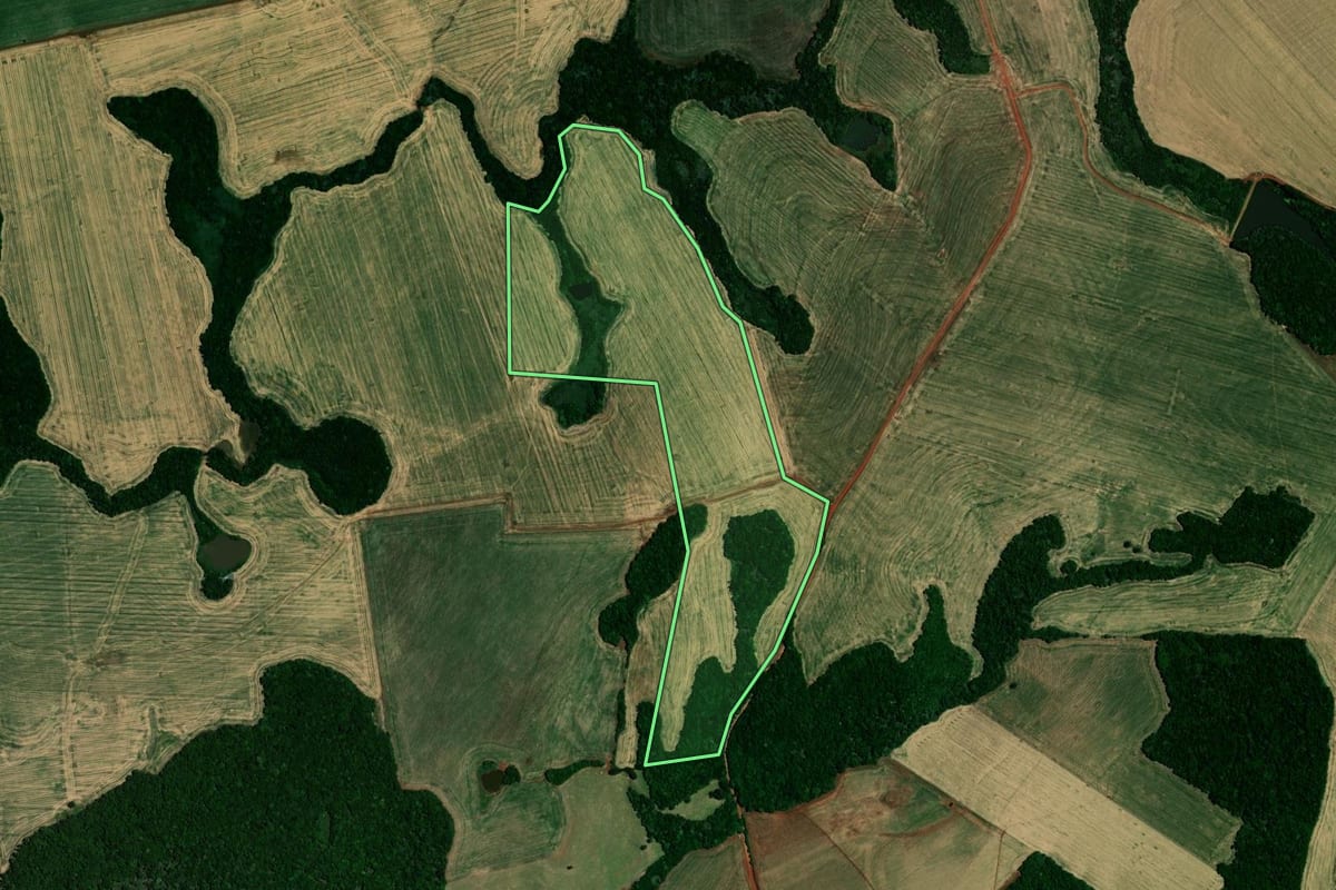 Imagem de satélite do imóvel rural em Almirante Tamandaré do Sul (RS), com o contorno declarado no CAR desenhado por cima.