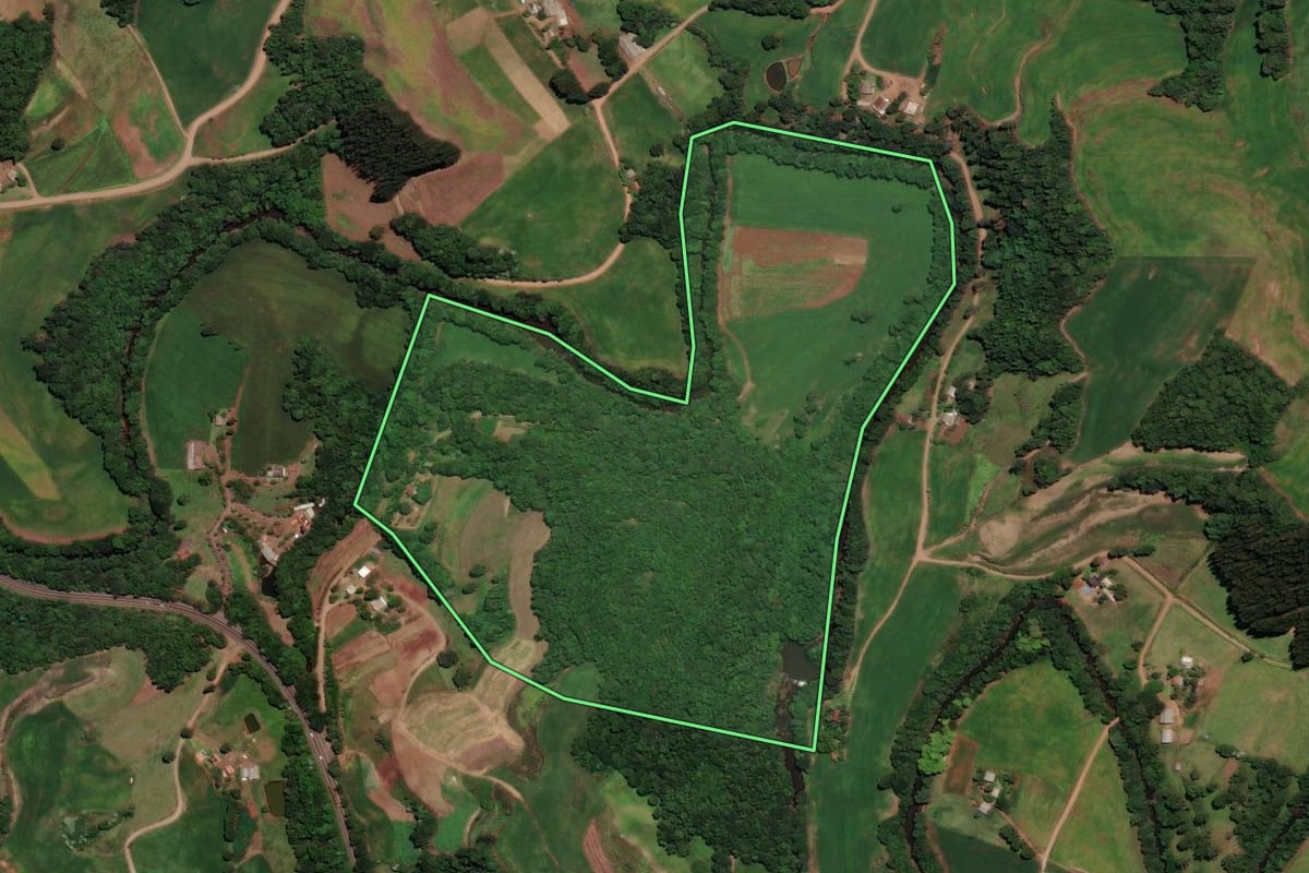 Imagem de satélite do imóvel rural em Almirante Tamandaré do Sul (RS), com o contorno declarado no CAR desenhado por cima.