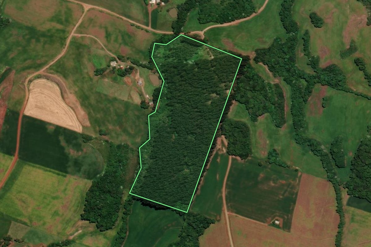 Imagem de satélite do imóvel rural em Almirante Tamandaré do Sul (RS), com o contorno declarado no CAR desenhado por cima.