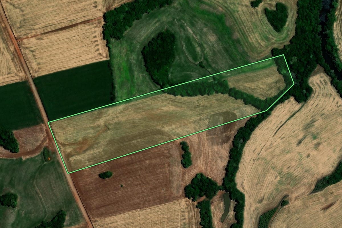 Imagem de satélite do imóvel rural em Almirante Tamandaré do Sul (RS), com o contorno declarado no CAR desenhado por cima.