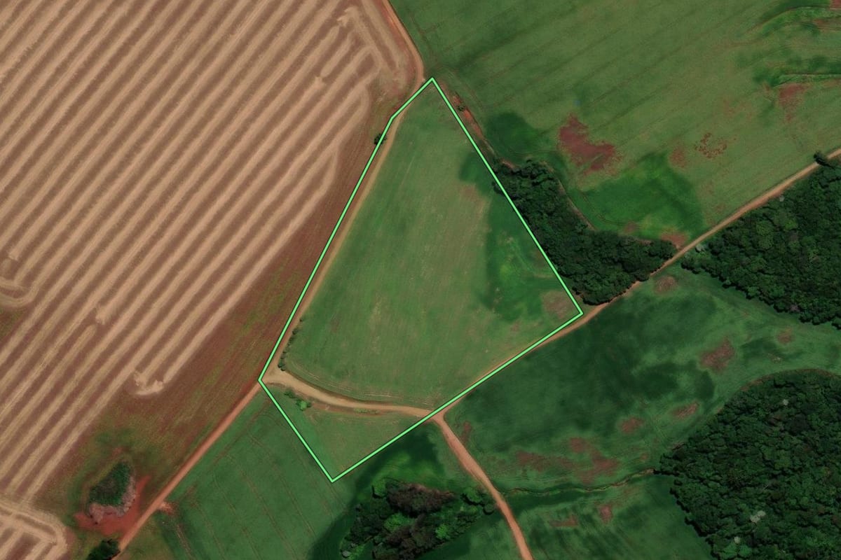 Imagem de satélite do imóvel rural em Almirante Tamandaré do Sul (RS), com o contorno declarado no CAR desenhado por cima.