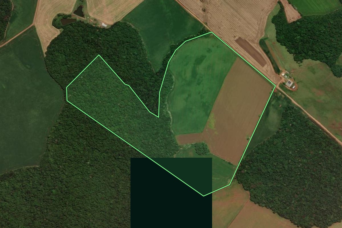 Imagem de satélite do imóvel rural em Almirante Tamandaré do Sul (RS), com o contorno declarado no CAR desenhado por cima.