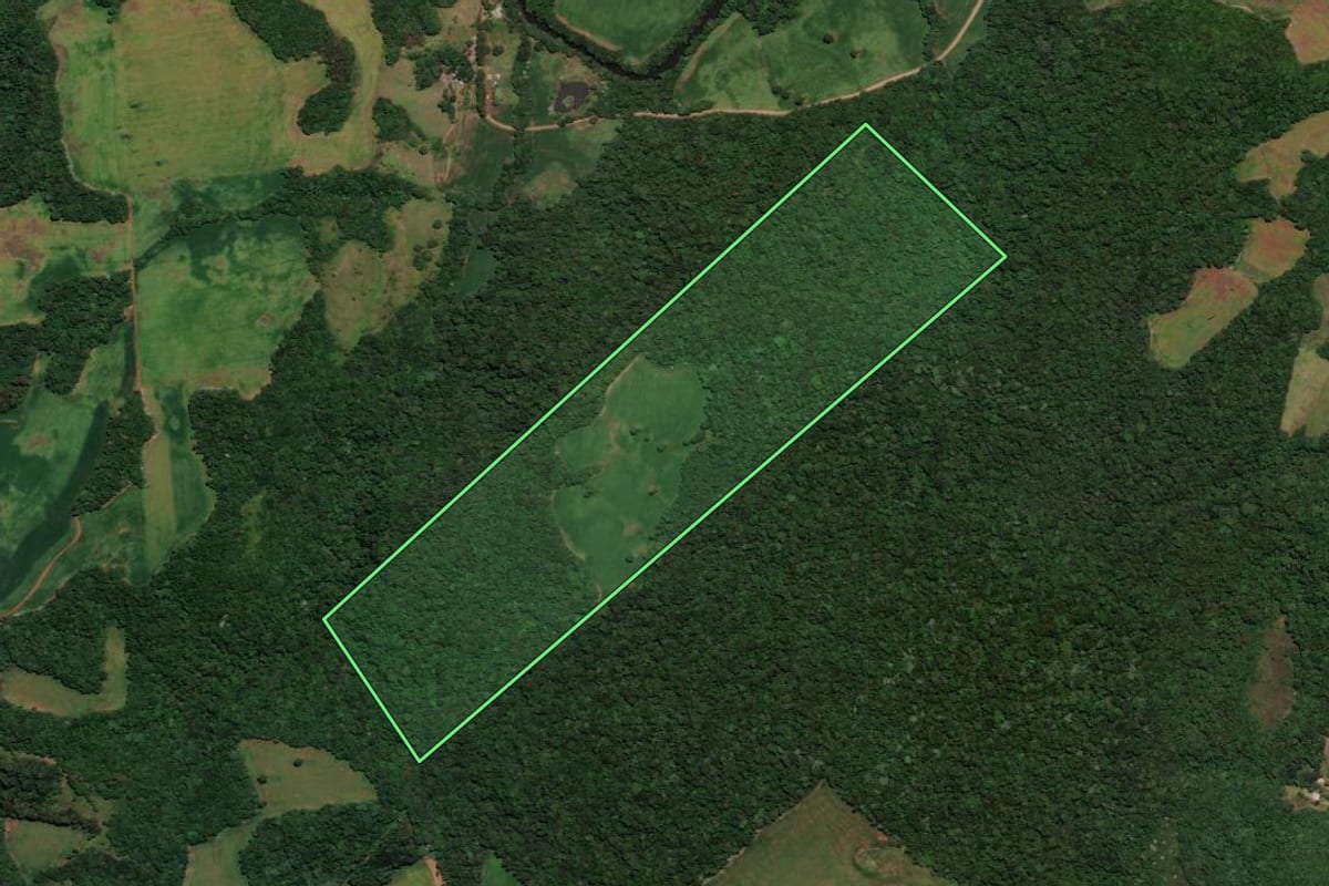 Imagem de satélite do imóvel rural em Almirante Tamandaré do Sul (RS), com o contorno declarado no CAR desenhado por cima.