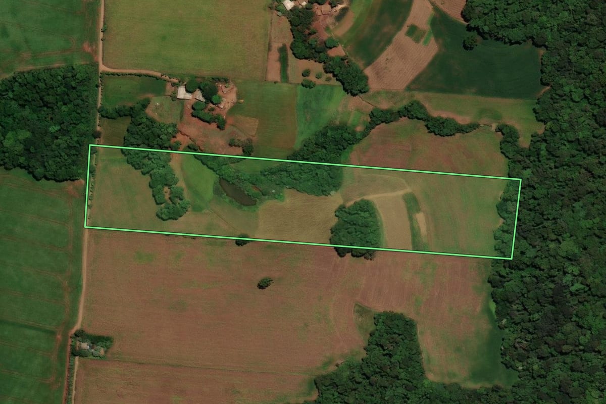 Imagem de satélite do imóvel rural em Almirante Tamandaré do Sul (RS), com o contorno declarado no CAR desenhado por cima.