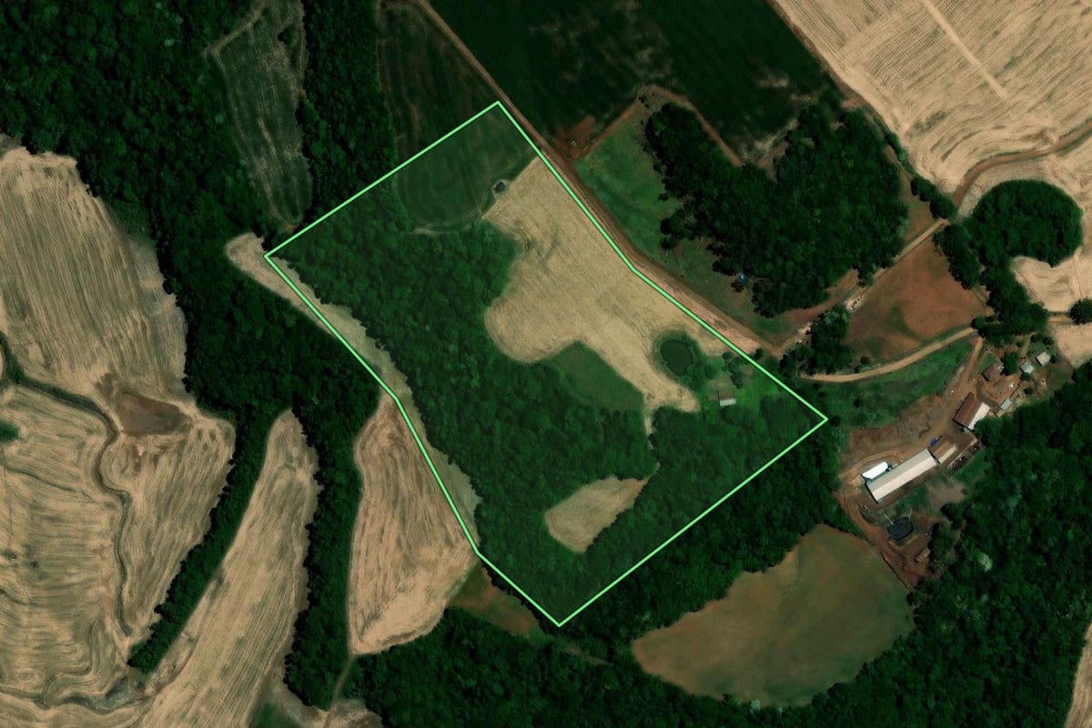 Imagem de satélite do imóvel rural em Almirante Tamandaré do Sul (RS), com o contorno declarado no CAR desenhado por cima.