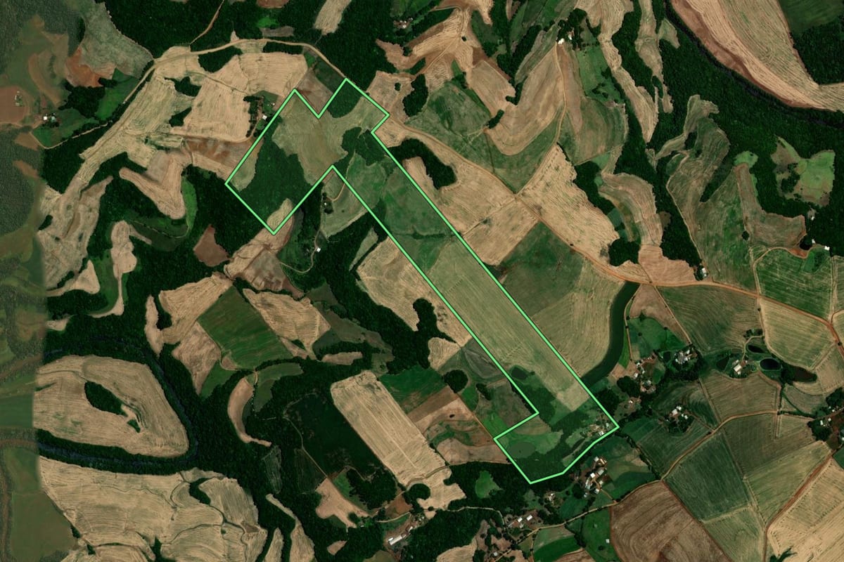 Imagem de satélite do imóvel rural em Almirante Tamandaré do Sul (RS), com o contorno declarado no CAR desenhado por cima.