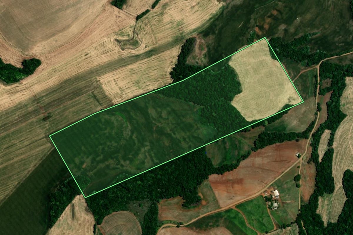 Imagem de satélite do imóvel rural em Almirante Tamandaré do Sul (RS), com o contorno declarado no CAR desenhado por cima.
