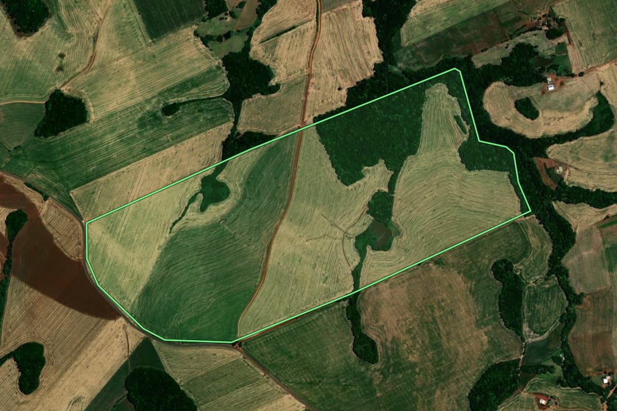 Imagem de satélite do imóvel rural em Almirante Tamandaré do Sul (RS), com o contorno declarado no CAR desenhado por cima.