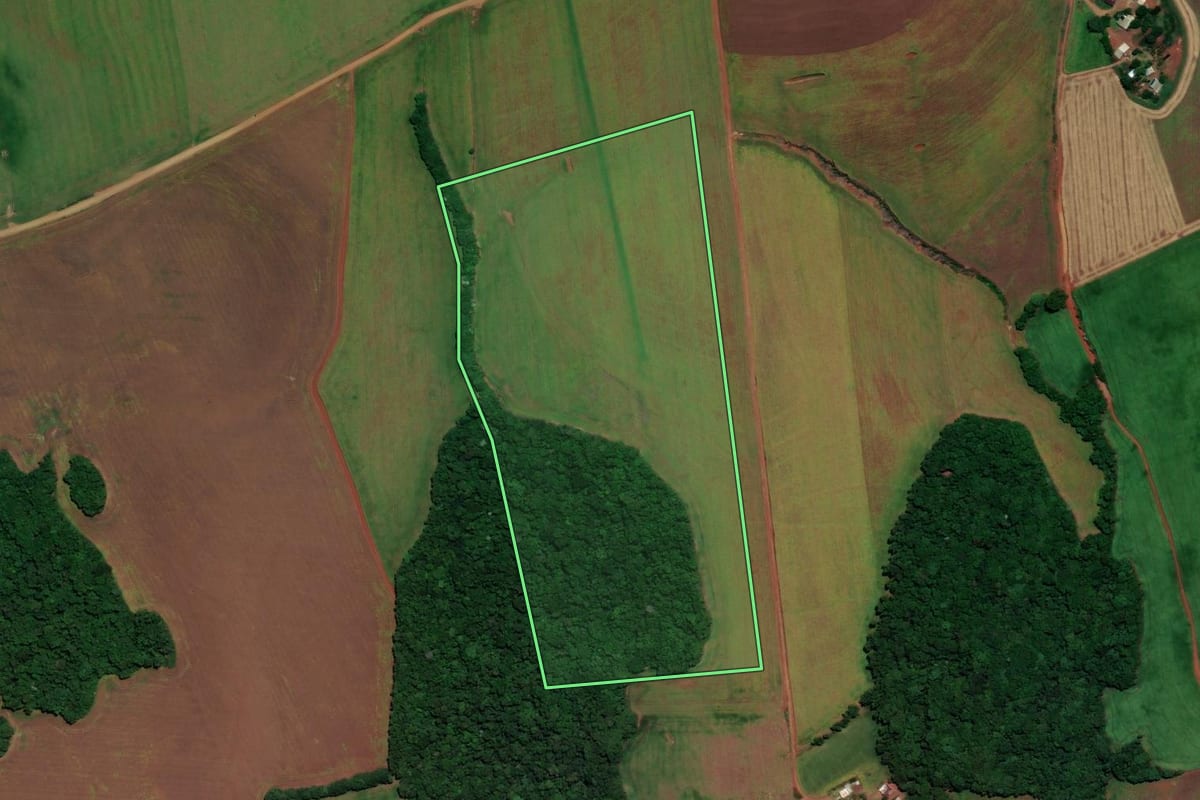 Imagem de satélite do imóvel rural em Almirante Tamandaré do Sul (RS), com o contorno declarado no CAR desenhado por cima.
