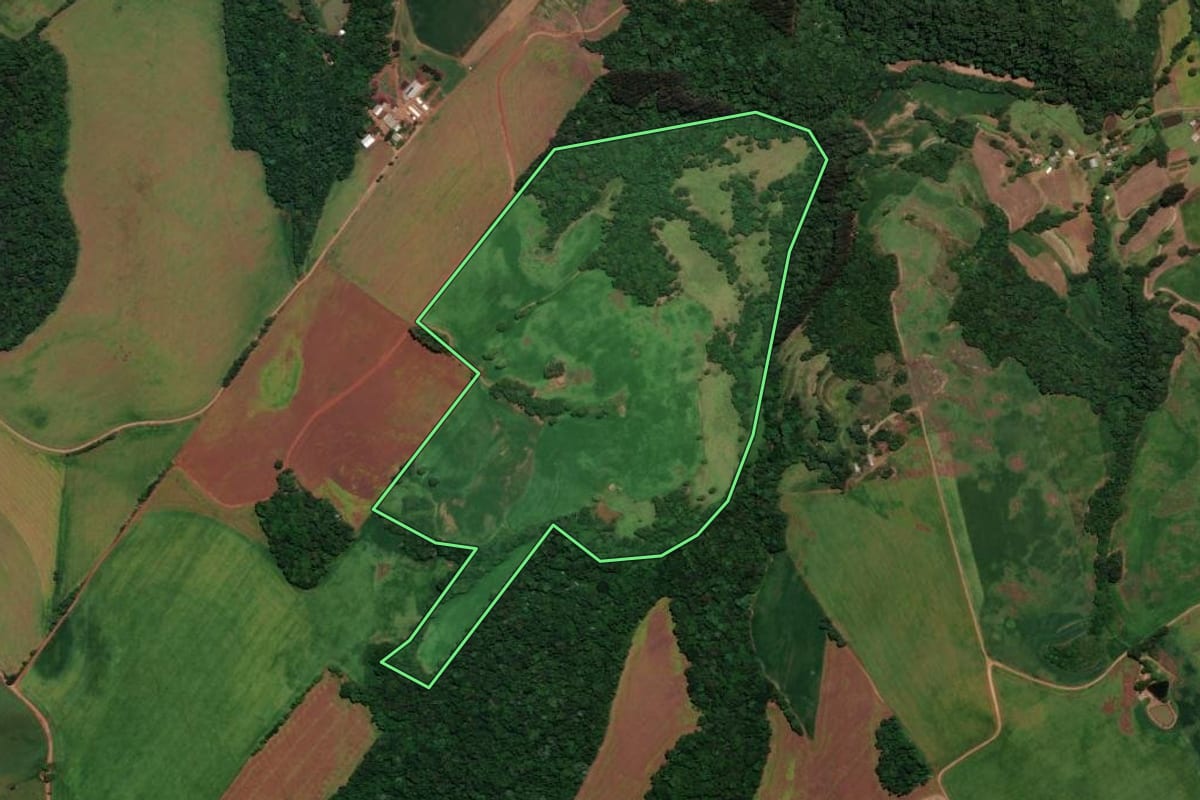 Imagem de satélite do imóvel rural em Almirante Tamandaré do Sul (RS), com o contorno declarado no CAR desenhado por cima.