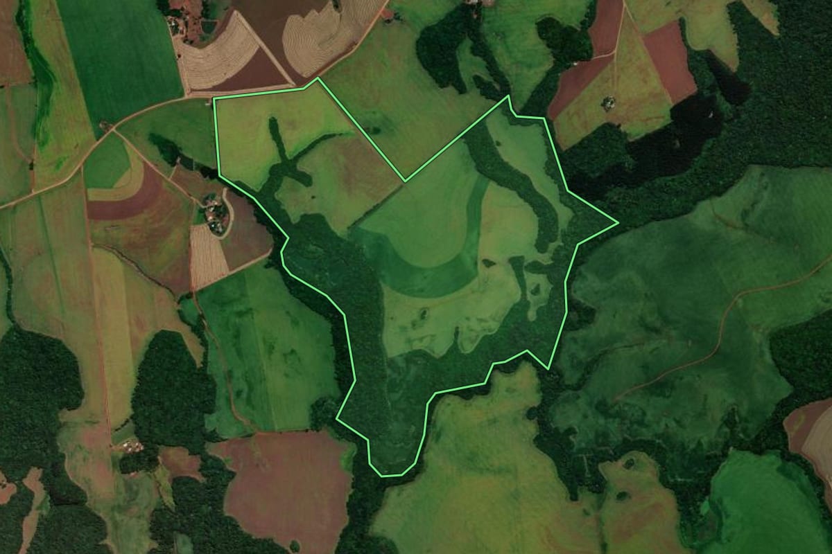 Imagem de satélite do imóvel rural em Almirante Tamandaré do Sul (RS), com o contorno declarado no CAR desenhado por cima.