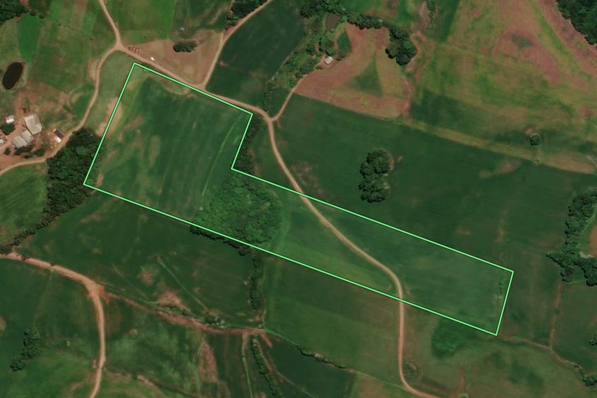 Imagem de satélite do imóvel rural em Almirante Tamandaré do Sul (RS), com o contorno declarado no CAR desenhado por cima.