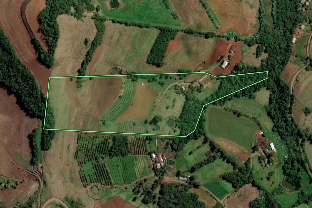 Imagem de satélite do imóvel rural em Alpestre (RS), com o contorno declarado no CAR desenhado por cima.