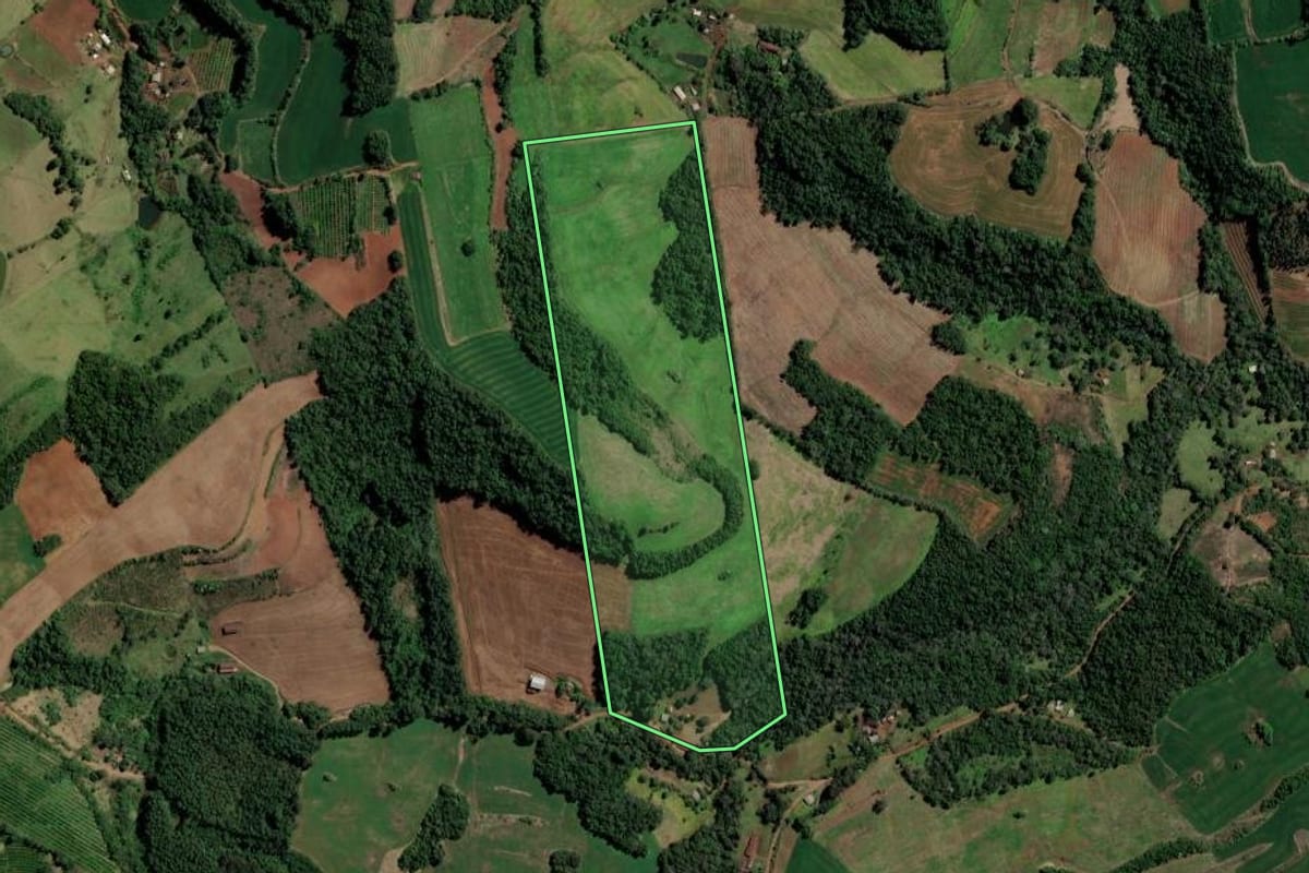 Imagem de satélite do imóvel rural em Alpestre (RS), com o contorno declarado no CAR desenhado por cima.