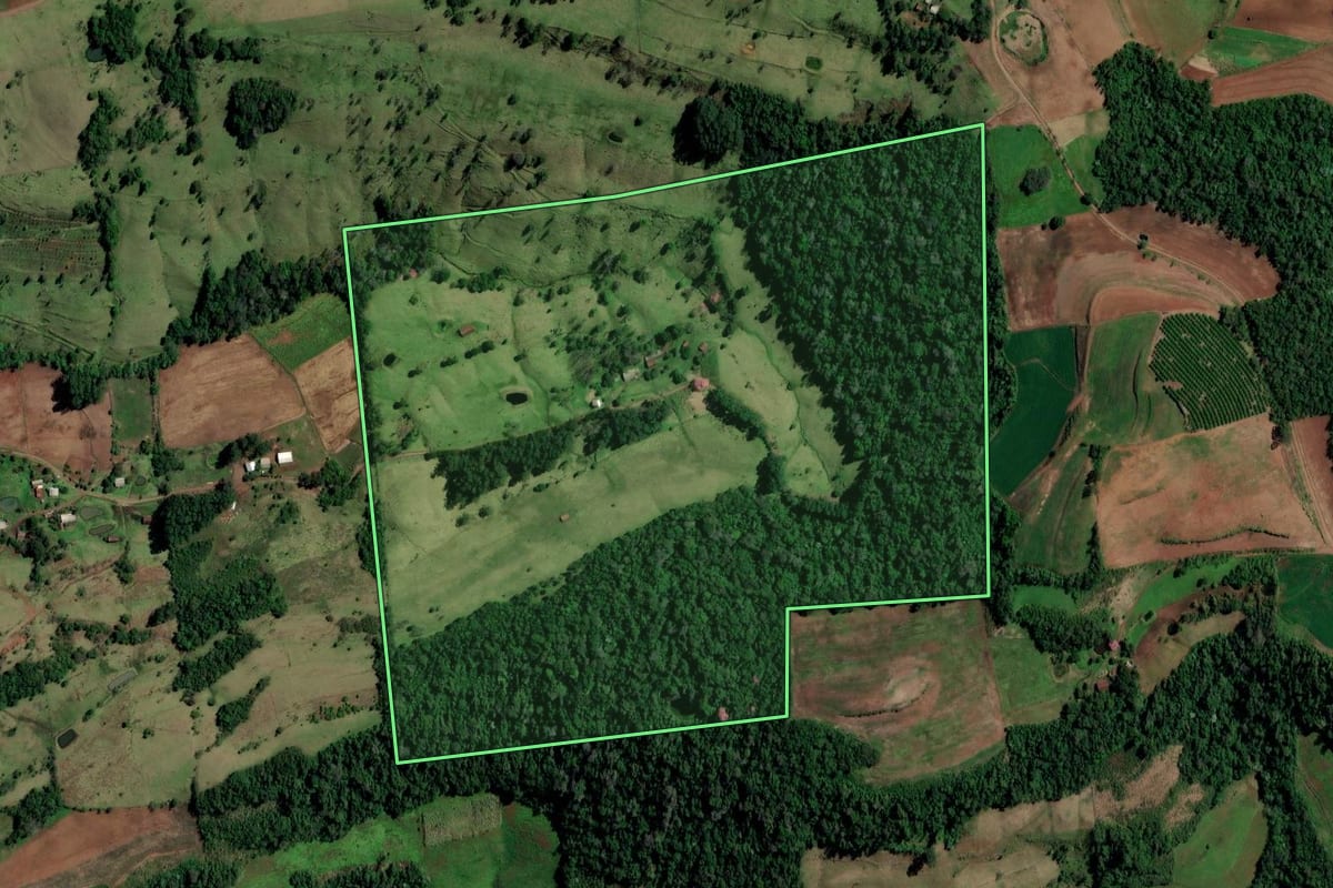 Imagem de satélite do imóvel rural em Alpestre (RS), com o contorno declarado no CAR desenhado por cima.