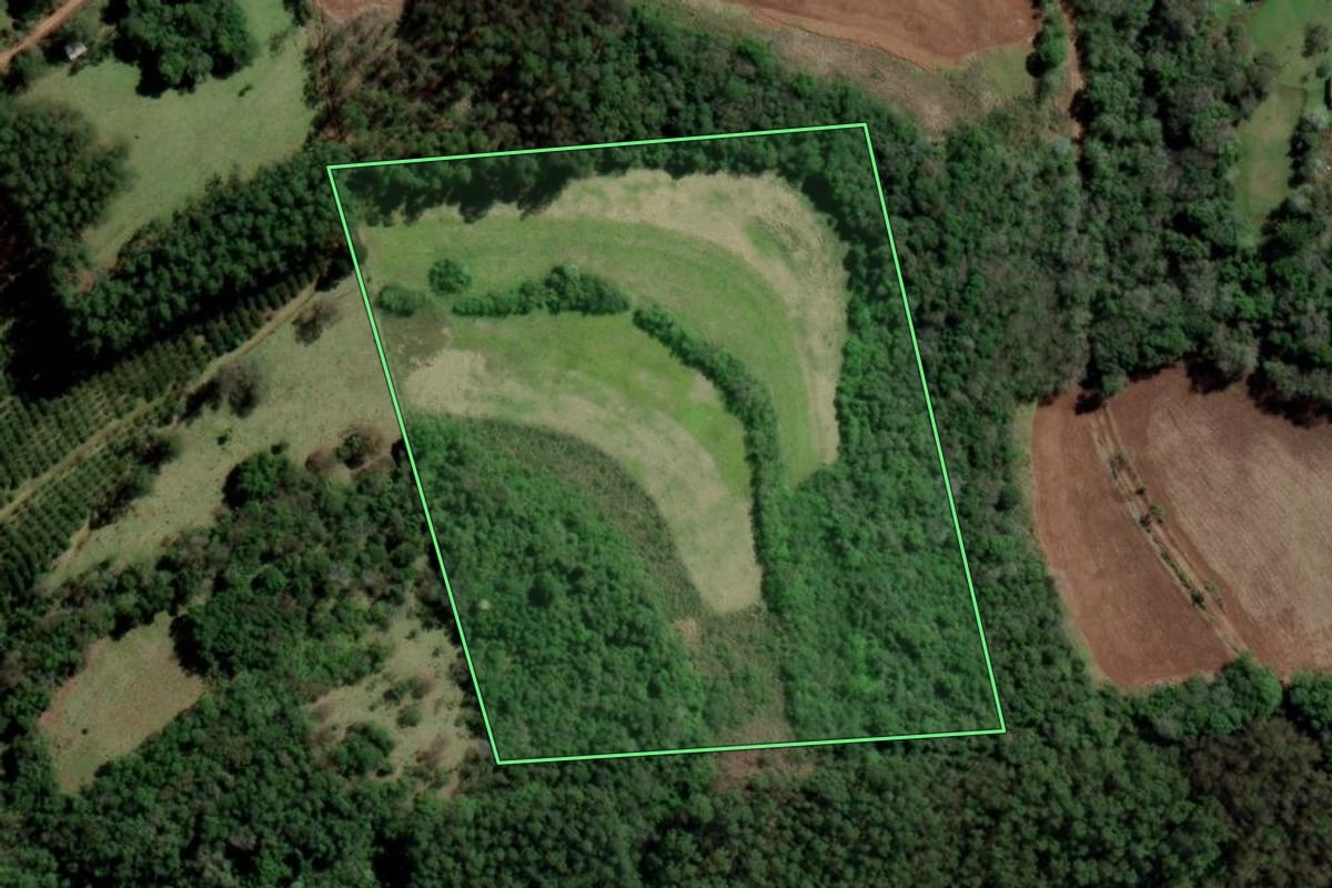 Imagem de satélite do imóvel rural em Alpestre (RS), com o contorno declarado no CAR desenhado por cima.