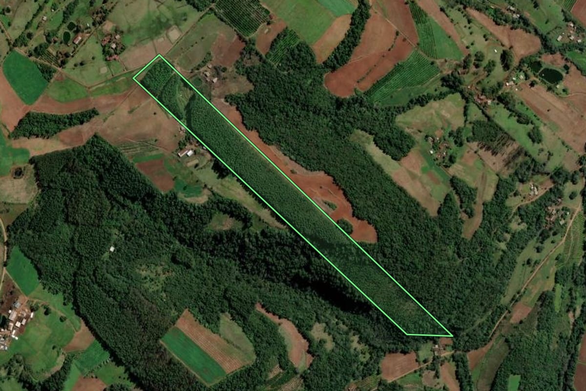 Imagem de satélite do imóvel rural em Alpestre (RS), com o contorno declarado no CAR desenhado por cima.