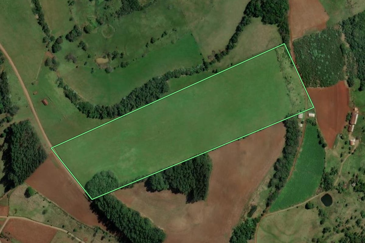 Imagem de satélite do imóvel rural em Alpestre (RS), com o contorno declarado no CAR desenhado por cima.